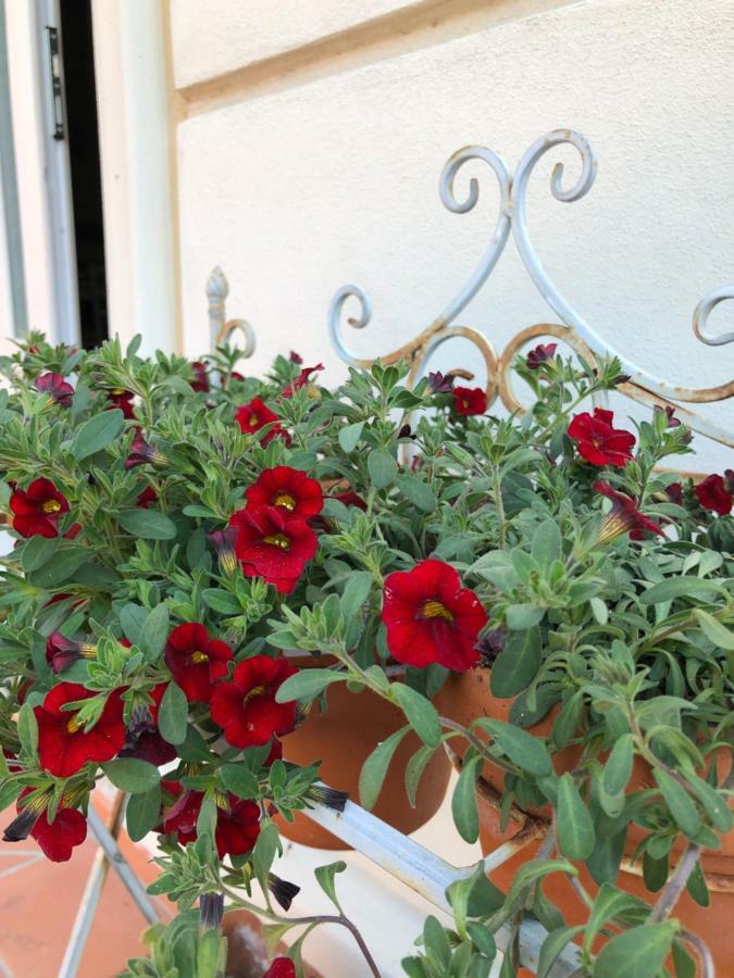 ماساروسا B & B Da Ferro المظهر الخارجي الصورة